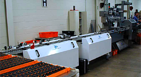 Manual Loading and Product Staging Conveyors with Wrapper Infeed