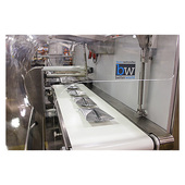 BW Flexible Systems Rose Forgrove Minerva Horizontal Flow Wrapper