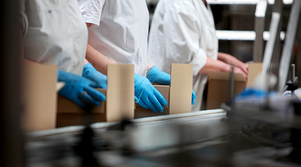 Workers in packaging assembly line