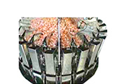 Weigh Scale Systems