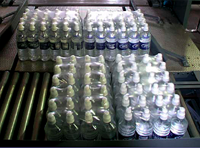 Cans in Trays Conveyed to Shrink Bundler Infeed