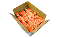 Corrugated Case & Tray Packaging
