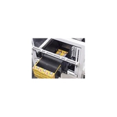A-B-C 19 Semi-Automatic Case Packer product infeed