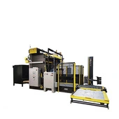 Arpac 1200 Fully Automatic Case Palletizer