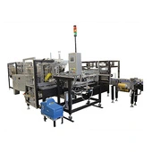 Arpac DPM-2000 Intermittent Motion Wrap-Around Case & Tray Packer
