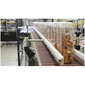 Arpac DPM-2000 Intermittent Motion Wrap-Around Case & Tray Packer Infeed