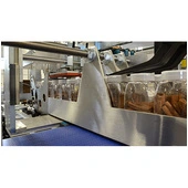 Arpac DPM-2000 Intermittent Motion Wrap-Around Case & Tray Packer Accumulation Section