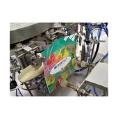 Bartelt BPM-6 Pre-Made Rotary Machine Pouch Hold