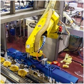 Fanuc M-10iD/16S Palletizing Robot