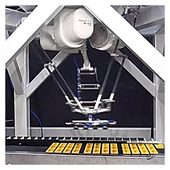 Fanuc M-2iA/6HL Pick-and-Place Delta Robot