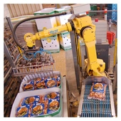 Fanuc M-710iC/70 Pick-and-Place Robot