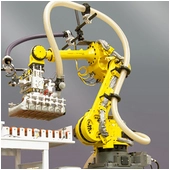 Fanuc R-1000iA/80H Palletizing Robot