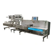 BW Flexible Systems Rose Forgrove Minerva Horizontal Flow Wrapper