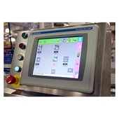 BW Flexible Systems Rose Forgrove Minerva Horizontal Flow Wrapper