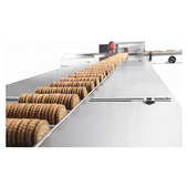 BW Flexible Systems Schib CO 100 Horizontal Flow Wrapper Biscuits on Edge