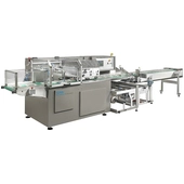 BW Flexible Systems Schib CO 130-140INT Horizontal Flow Wrapper