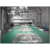 BW Flexible Systems Schib CO 130-140INT Horizontal Flow Wrapper Finished Loose Bags