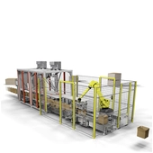 Pearson RTL Robotic Top Loader Carton & Case Packer