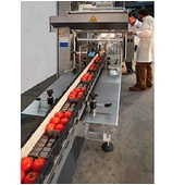 PFM Falcon Servo Packaging Line