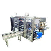 Polypack WR Wraparound Case Packer