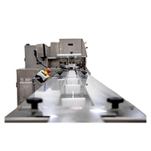 Redpack NTS-BM Box Motion Top-Seal Horizontal Flow Wrapper Chain Slat INfeed
