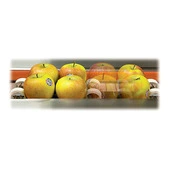 Redpack P325E-FI Trayless Apple Horizontal Flow Wrapper