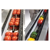 Redpack P325E-T Trayless Apple Horizontal Flow Wrapper