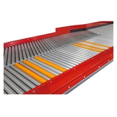 Roach Gator Singulator Conveyor