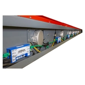 Roach Gator Singulator Conveyor
