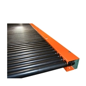 Roach Smart MDR CDLR Chain Driven Live Roller Accumulation Conveyor
