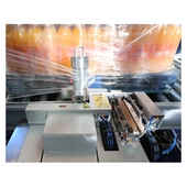 Robopac Helix 4/2 Automatic Rotary Arm Stretch Wrapper