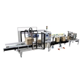 Shuttleworth Flex-E-Pack Case Packing System
