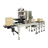 Shuttleworth Flex-E-Pack Case Packing System
