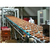 SpanTech Incline Conveyor Systems Running Burger Buns