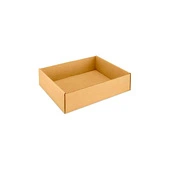 Weigh Right SDS Short Drop Scale Tray Filler Corrugated Tray